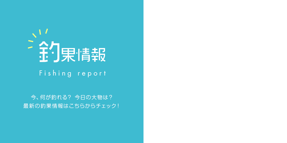 banner_report_half
